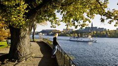 Stockholm - Djurgarden copy