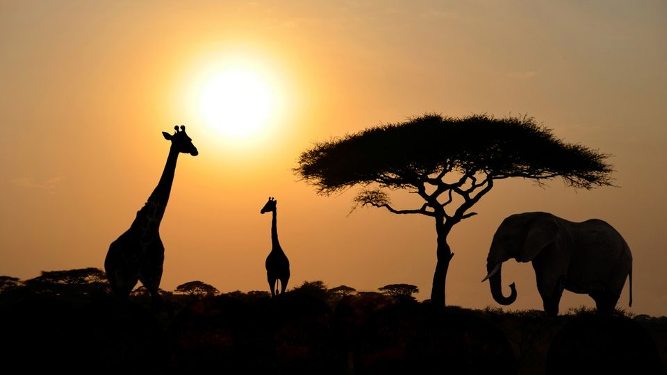 Sonnenuntergang im Nationalpark