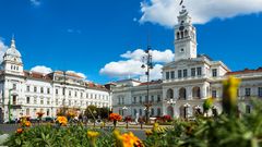 Arad, Rathaus