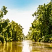 Donaudelta