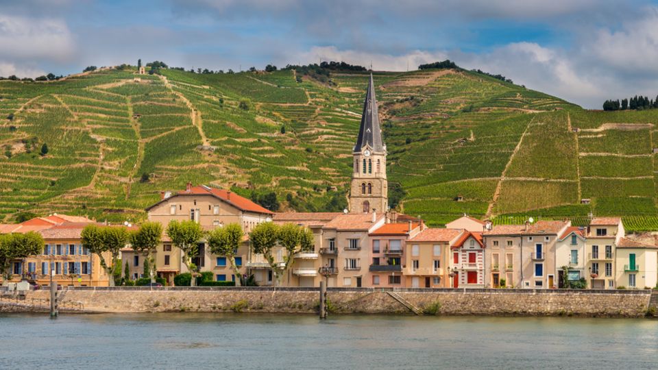 Panorama von Tournon copy