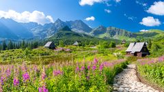 Hohe Tatra, Pfad mit blühenden Wiesen und Häuschen