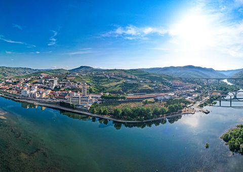 Weinberge am Duoro bei Pinhao ©Mike Workman, Adobe Stock Weinberge am Duoro bei Pinhao