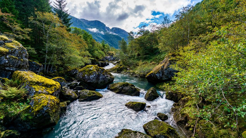 Folgefonna-Nationalpark, Fluss mit Gletscherwasser