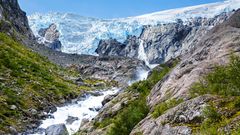 Folgefonna-Nationalpark, Gletscher