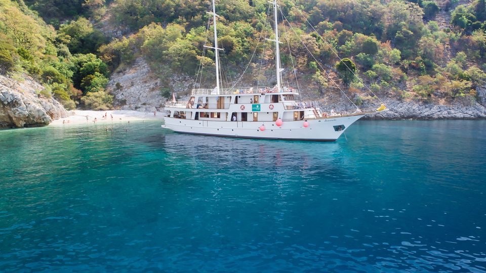 MS Antonela, Außenansicht