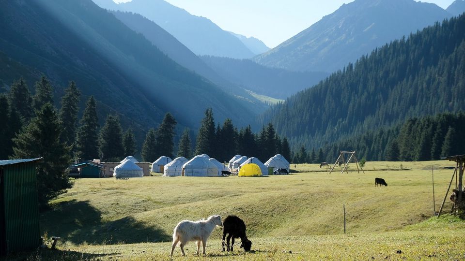 Jurten in der Region Karakol