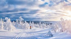 Langlauf in Lappland