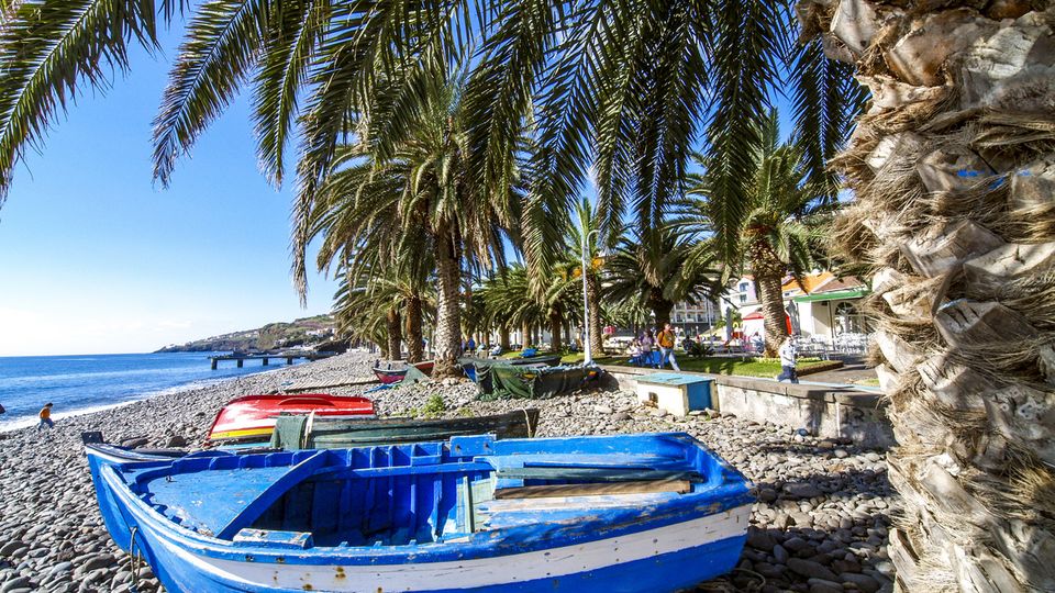 Fischerboote und Palmen Santa Cruz, Madeira