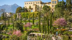 Schloss Trauttmansdorff Garten