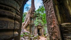 Kambodscha, Angkor Wat - Ta Prohm
