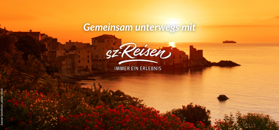 Blog-Banner 2 