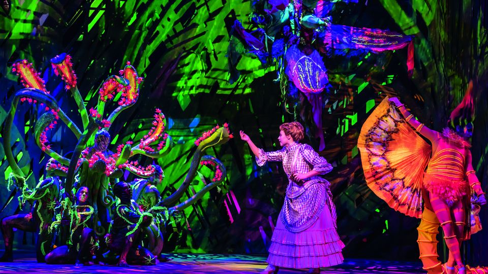 Dschungel Jane, Vajen van den Bosch