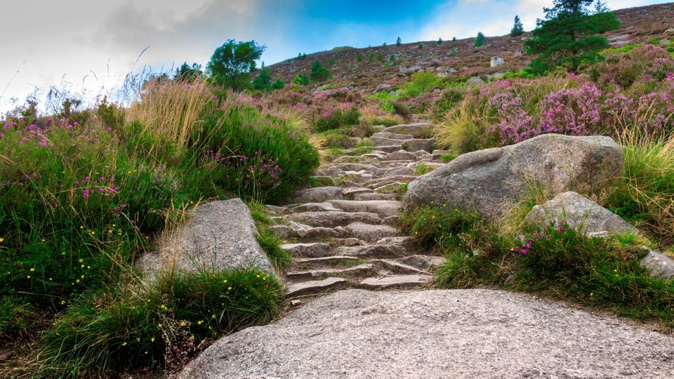 Schottische Stufen Cairngorms ©Iweta0077 - adobe stock Schottische Stufen Cairngorms