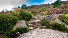 Schottische Stufen Cairngorms ©Iweta0077 - adobe stock Schottische Stufen Cairngorms
