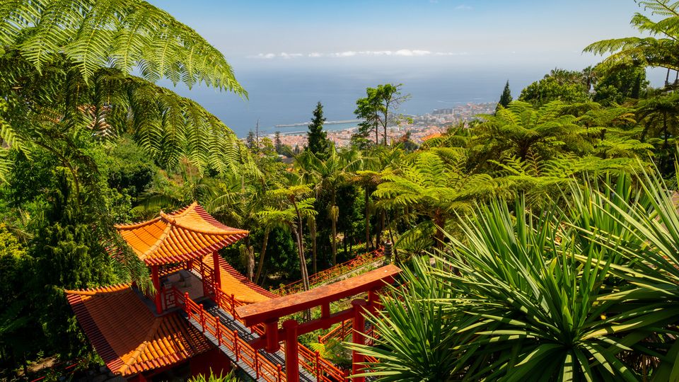 Botanischer Garten Monte Palace, Funchal