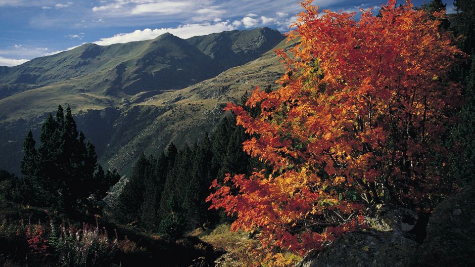 Herbstlandschaft in Andorra
