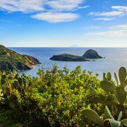 Wanderweg bei Capoliveri mit Blick auf die Cala dellInnamorata ©stevanzz, AdobeStock Wanderweg bei Capoliveri mit Blick auf die Cala dellInnamorata