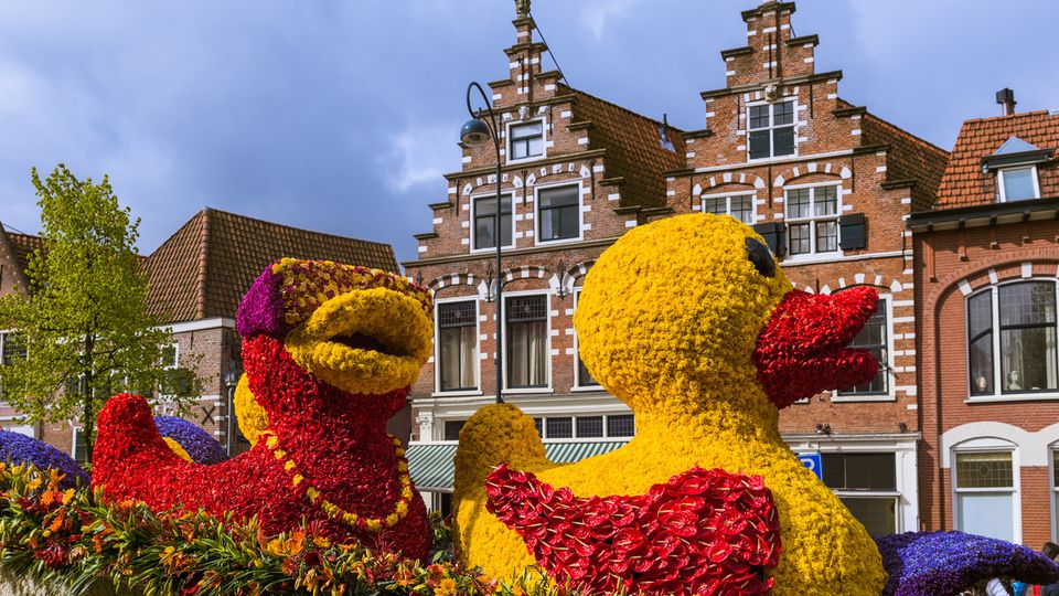 Blumenkorso in Haarlem