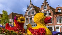 Blumenkorso in Haarlem