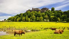 Stirling Castle