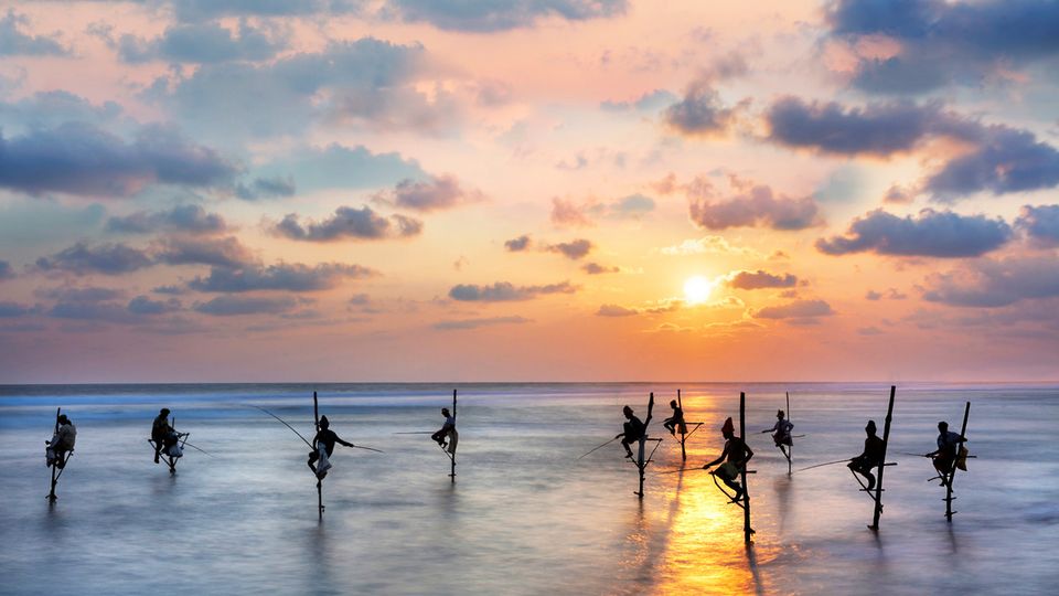 Fischer auf Sri Lanka