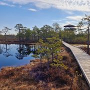 Wanderwege Lahemaa Nationalpark ©Yvonne Schmidt Wanderwege Lahemaa Nationalpark