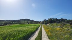 Wanderweg auf Malta