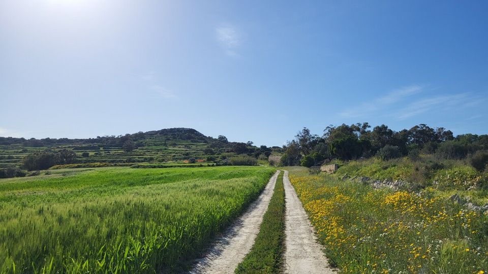 Wanderweg auf Malta