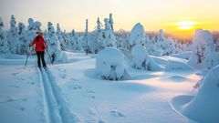Langlauf in Lappland
