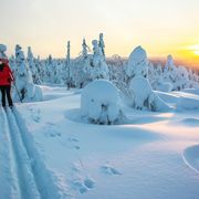 Langlauf in Lappland
