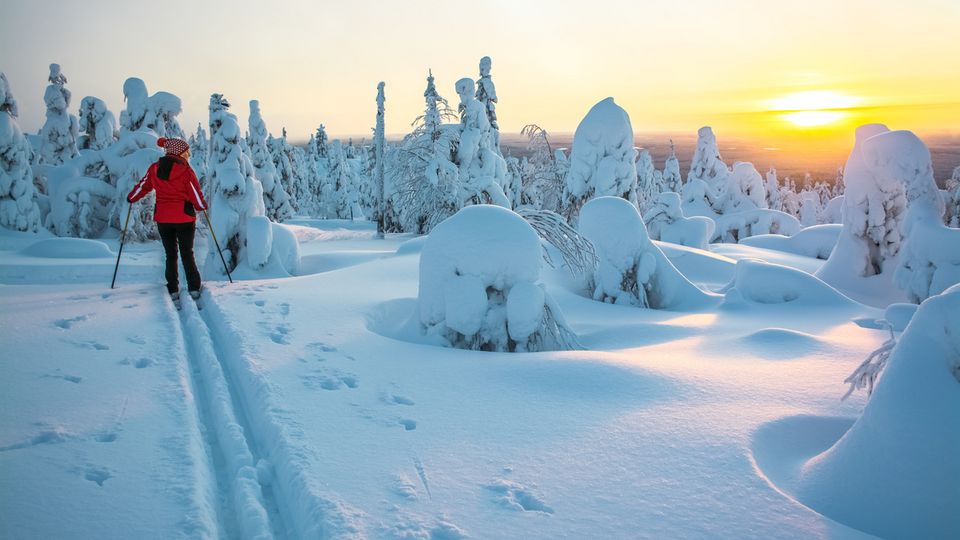 Langlauf in Lappland