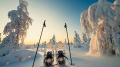 Winterlandschaft mit Schneeschuhen