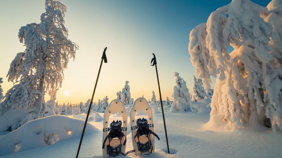 Winterlandschaft mit Schneeschuhen