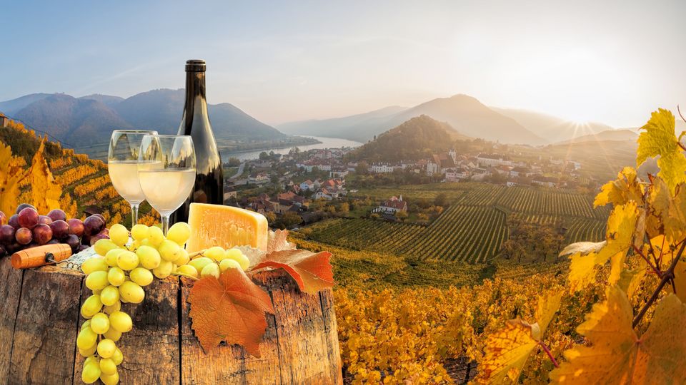Genuss in der Wachau