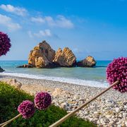 Zypern, Aphrodite-Felsen und Blumen ©Grispb, AdobeStock Zypern, Aphrodite-Felsen und Blumen