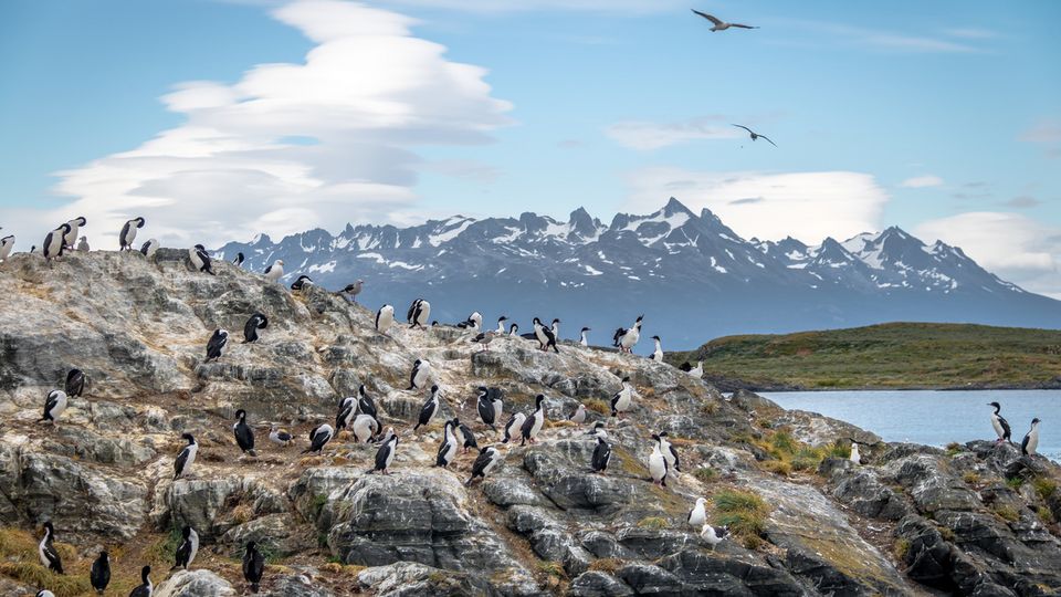 Tierra del Fuego National Park