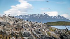 Tierra del Fuego National Park
