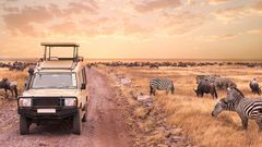 Safari bei Sonnenuntergang