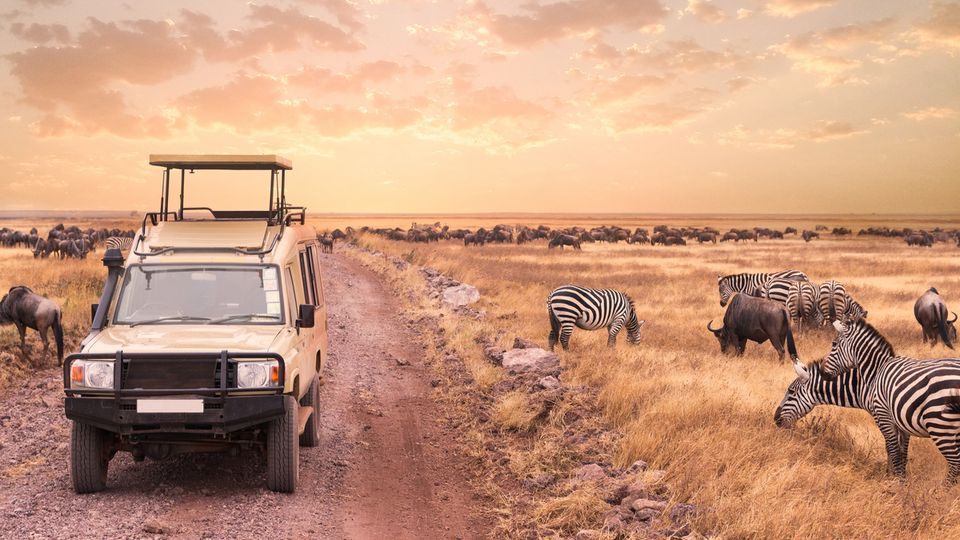 Safari bei Sonnenuntergang