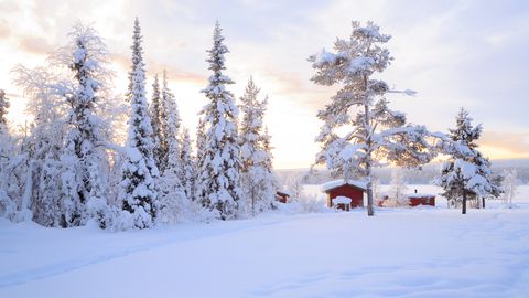 Winterlandschaft bei Lulea