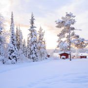 Winterlandschaft bei Lulea ©vichie81, AdobeStock Winterlandschaft bei Lulea