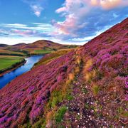 Farbenfrohes Panorama in Schottland ©Marcus, AdobeStock Farbenfrohes Panorama in Schottland
