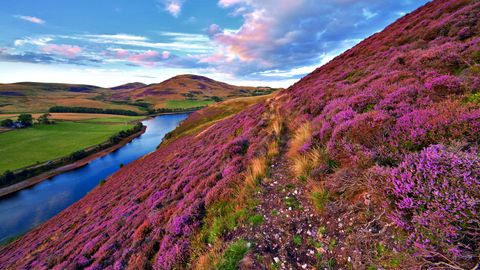 Bunte schottische Landschaft
