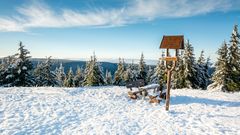 Thüringer Wald, Schneekopf