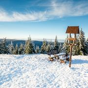 Thüringer Wald, Schneekopf