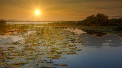 Nationalpark Donaudelta