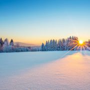 Abendstimmung im Frankenwald