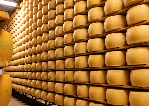 Herstellung von Parmigiano Reggiano