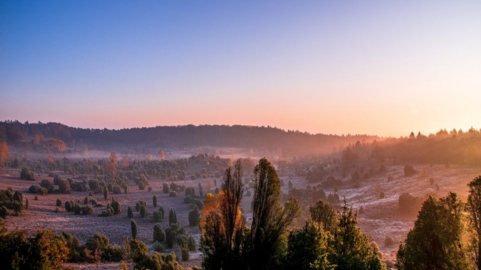 Lüneburger Heide, Totengrund 